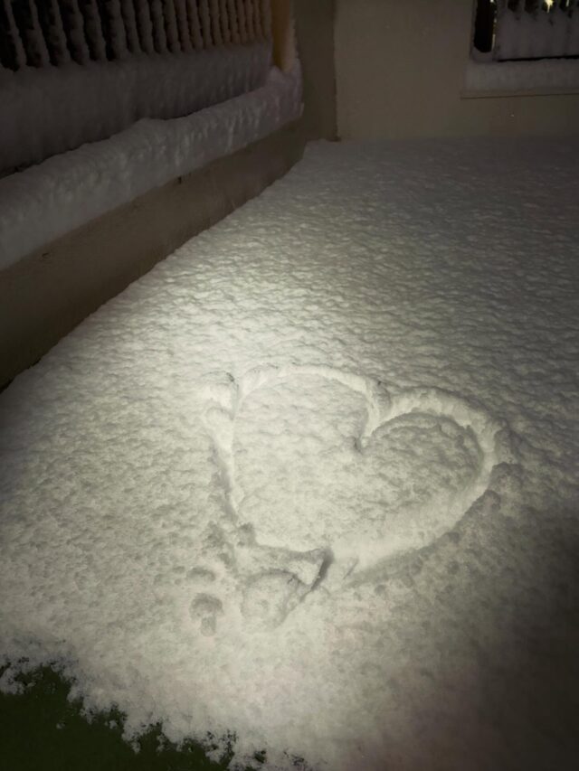 人絹町でこんな雪見れるの
最初で最後かも♡
#茉莉花的日常
#雪ふわふわ
#2026年冬
#雪ざんまい