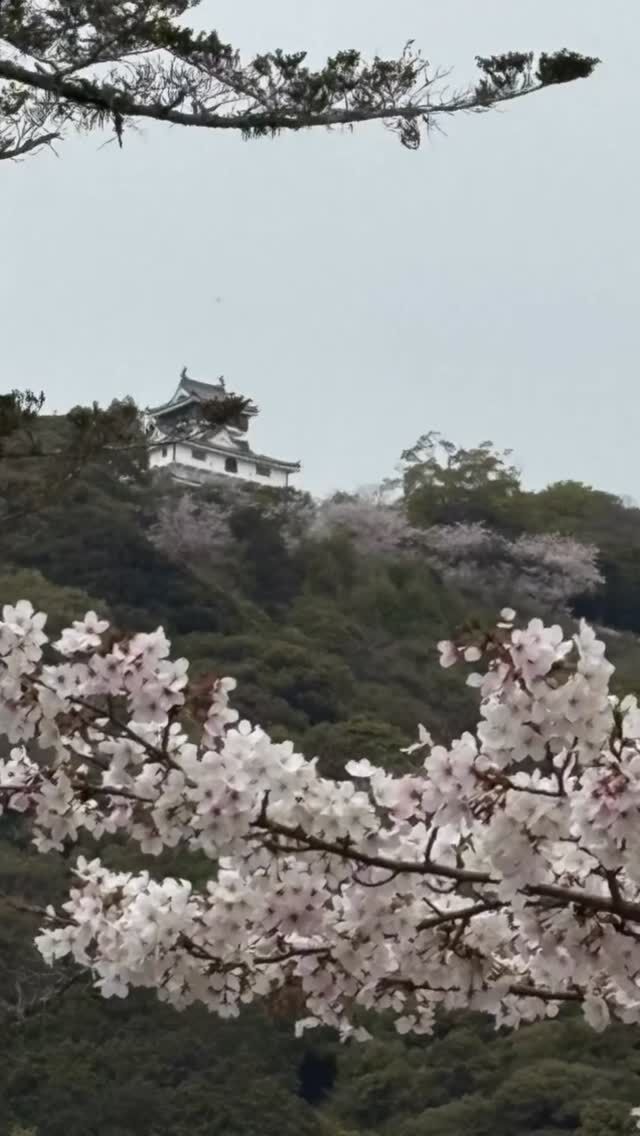 Happy day🌸
横山と@shiroyama_cafe